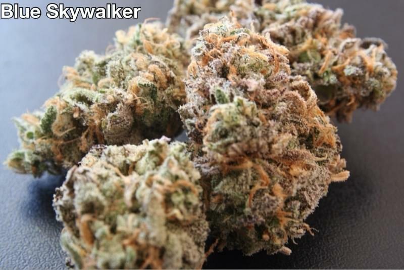 Quikbuds Premium Delivery Newport Beach Ca Quikbuds Premium Delivery Newport Beach Ca