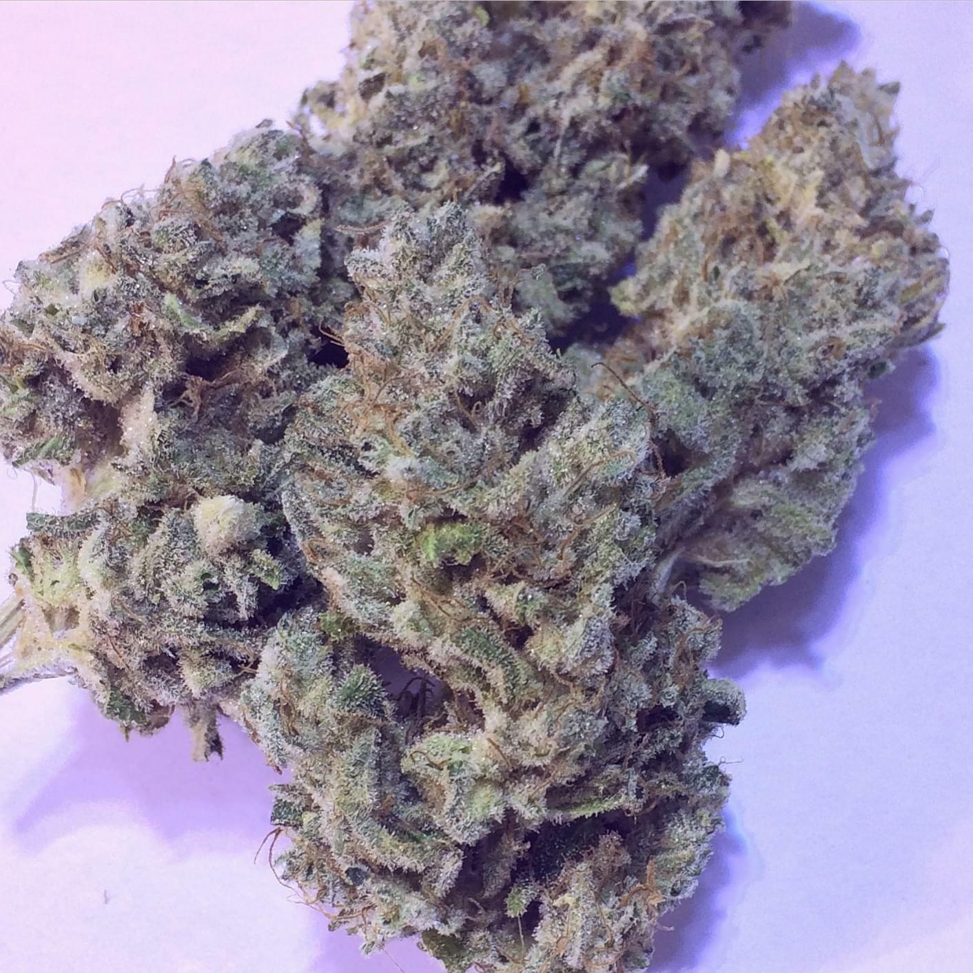 Sinsemilla Solutions Photos Yucca Valley Marijuana Delivery