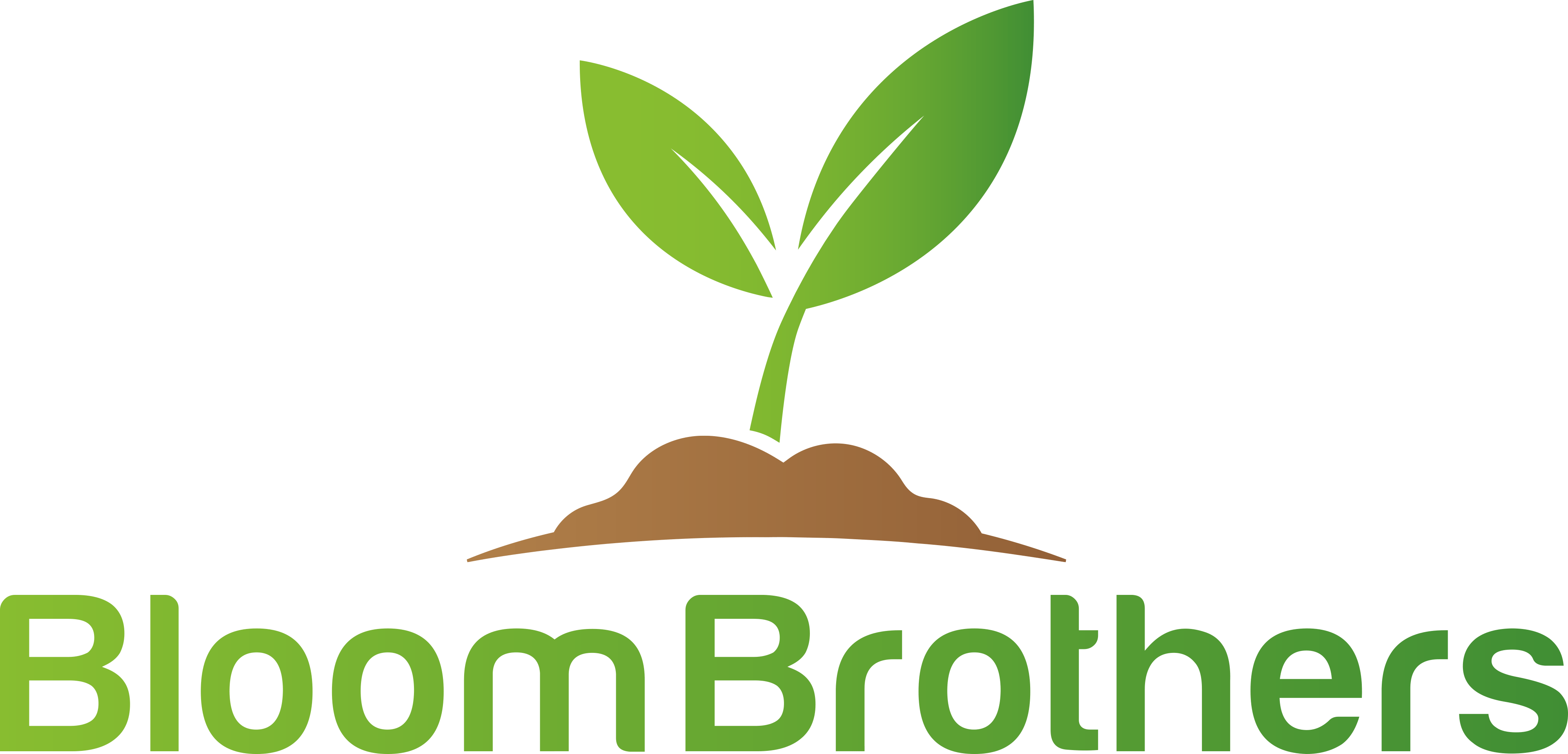 Bloom Brothers Photos Pittsfield Marijuana Dispensaries