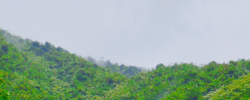 San Juan