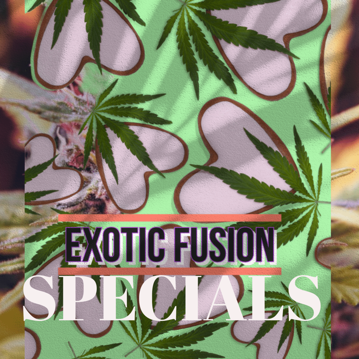 2 0Z EXOTIC AND FREE DELIVERY