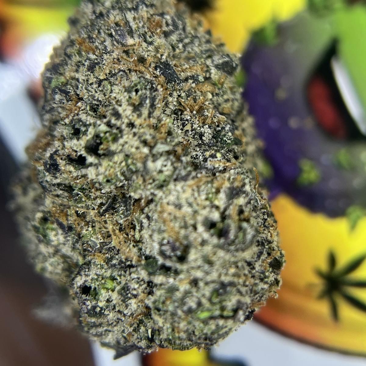 DESIGNER- WHITE GUMBO