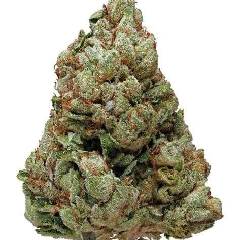 Presidential Kush (TOP SHELF)