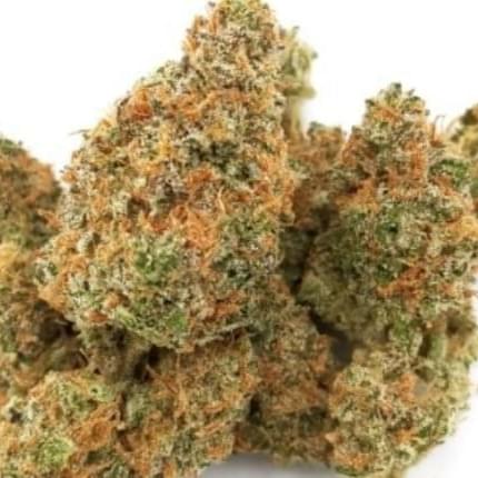 Acapulco Gold (exotic)