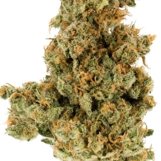 Grapefruit (topshelf)