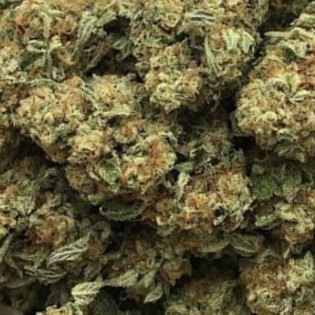 Zombie death fuck  ðÂÂÂÂÂÂÂÂÂÂÂÂÂÂÂ¤¬(TOP SHELF)