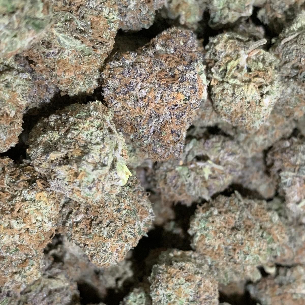 PURPLE KUSH