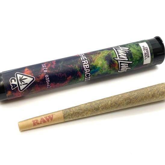Pre-roll single - Sherbacio (1g)