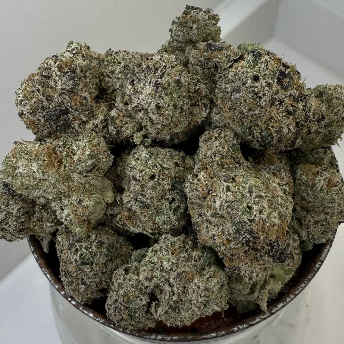 Blue Lobster | Permanent Holiday