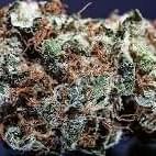 Super Lemon Haze (Top-Shelf)