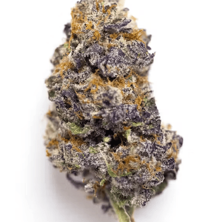 Grape Cream Cake (AAA designer)