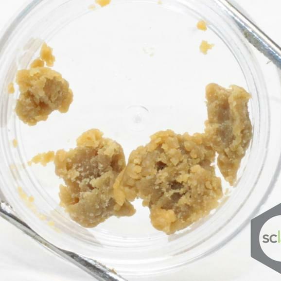 FTEE Oatmeal Cookies