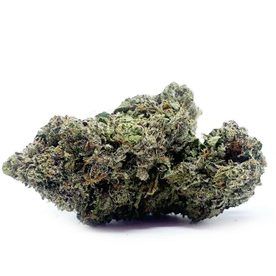 Brownie Scout (Designer)