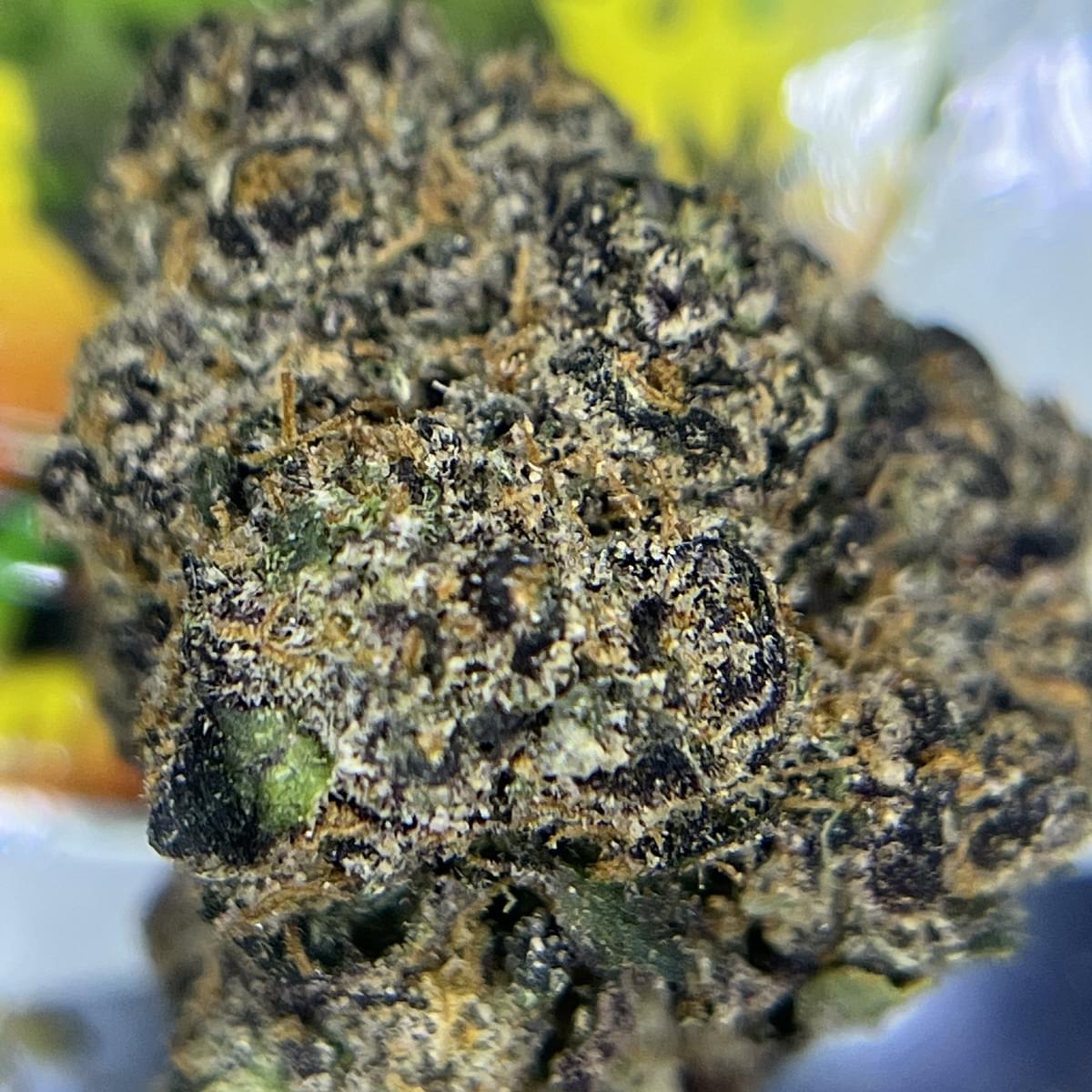 EXOTIC - BLACK RUNTZ