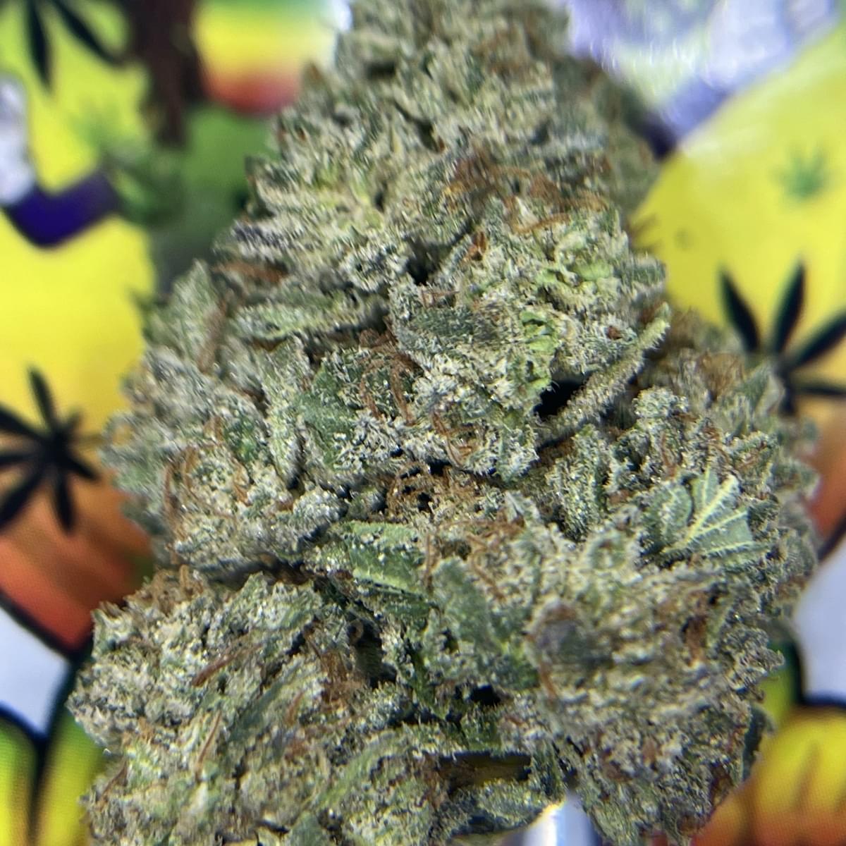 TOPSHELF- CANDYLAND