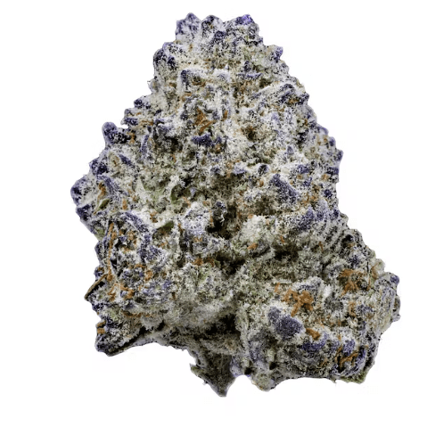 Slurricane (AAA Designer)