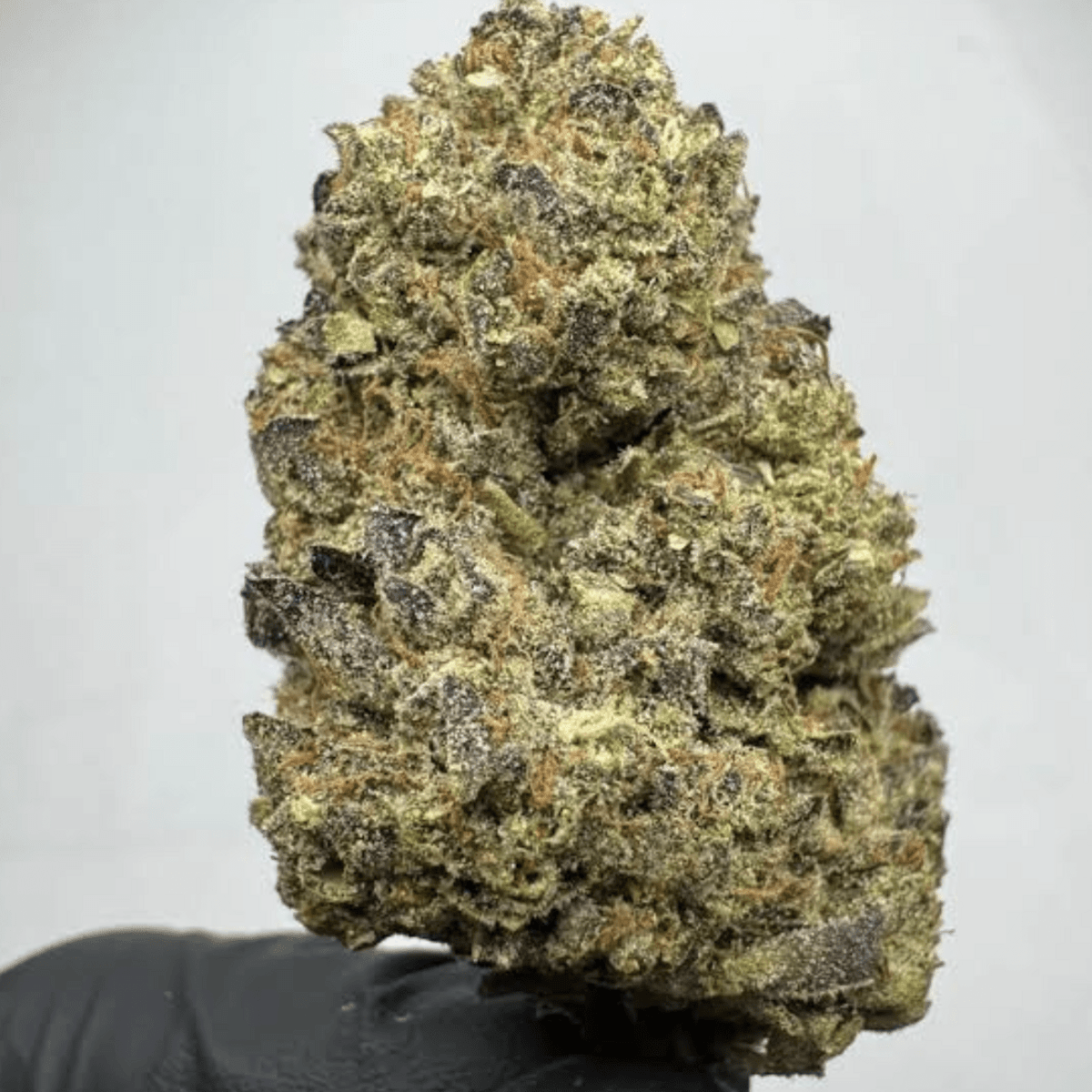 Obama kush (Premium)