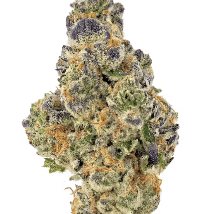 Purple Sunset (Indoor Premium)