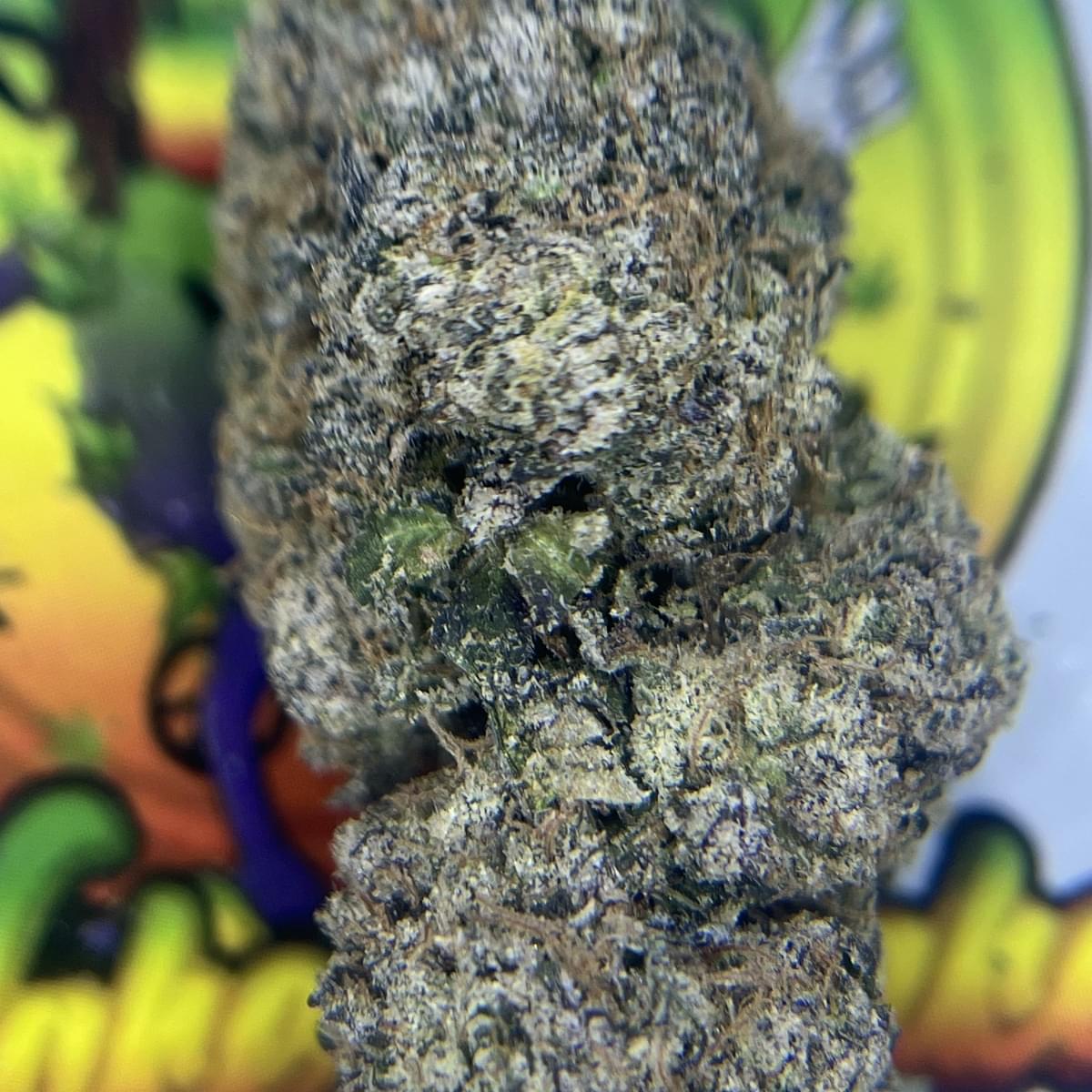 EXOTIC- BLUEBERRY MUFFIN