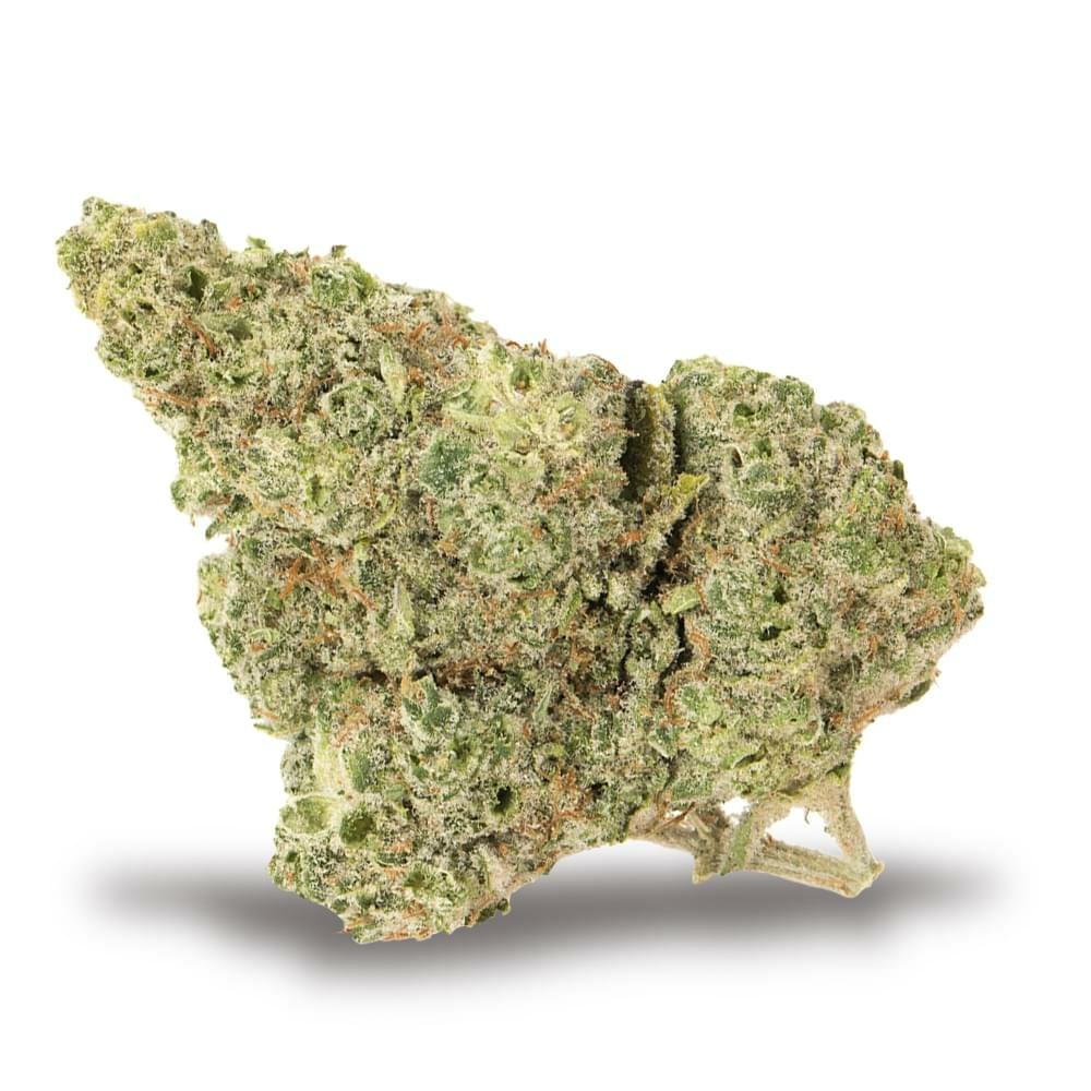 Key Lime Pie (EXOTIC)