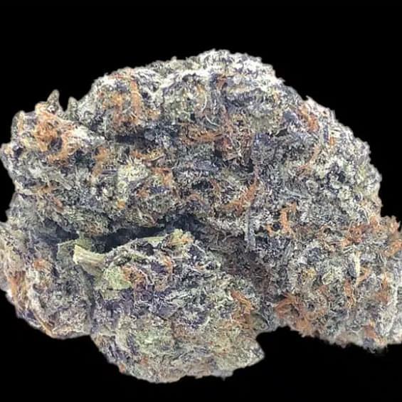 WHITE CHERRY TRUFFLE (INDICA)