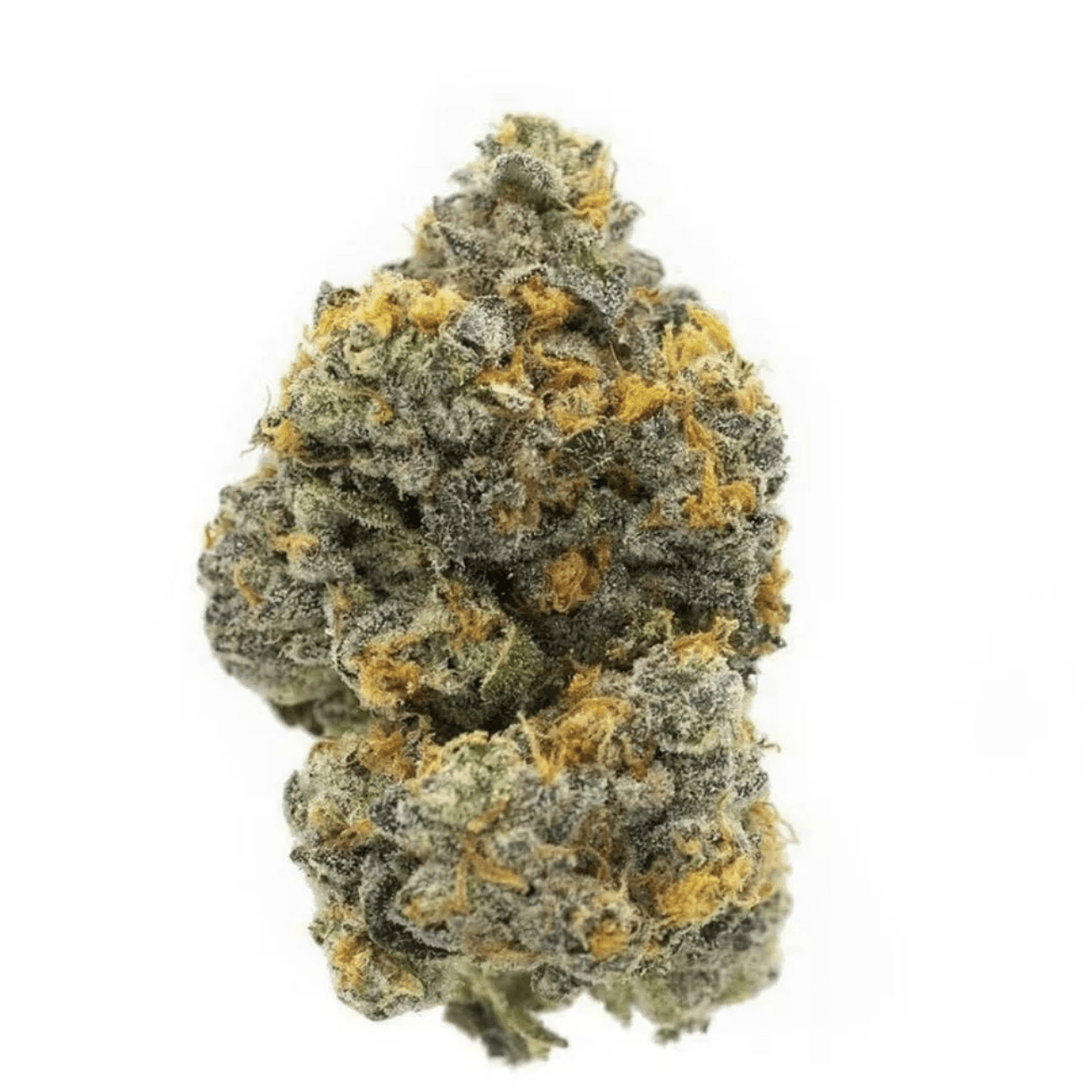 Cheetah Piss (Exotic)