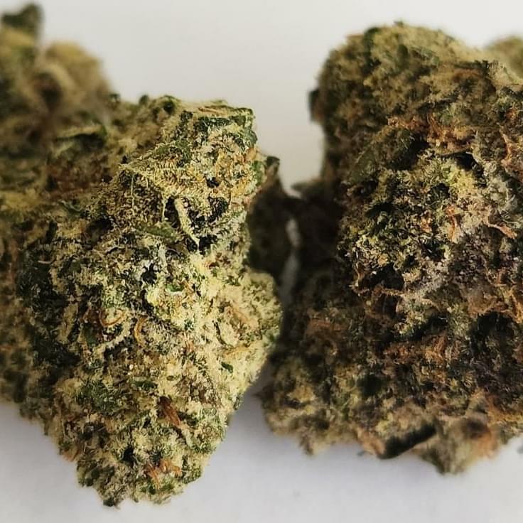 Cherry Cake - Exotic