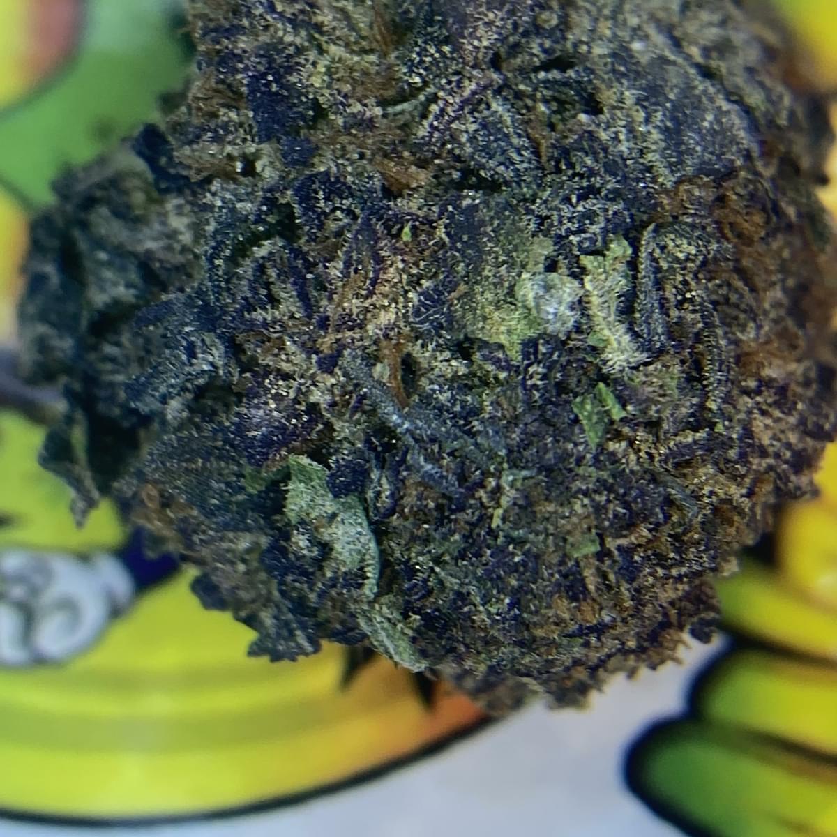 PREMIUM- RAINBOW BELTS