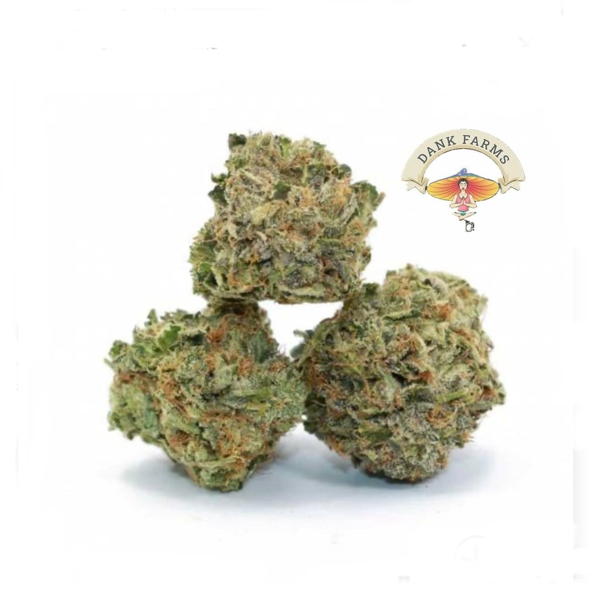 Platinum bubba TOP SHELF