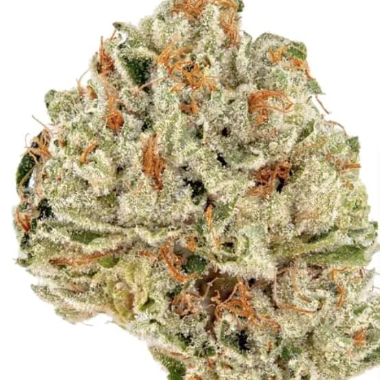 Dirty Girl (TOP SHELF)