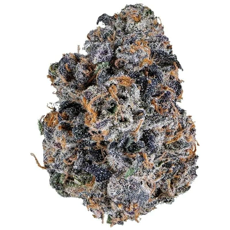 Bacio Gelato DESIGNER