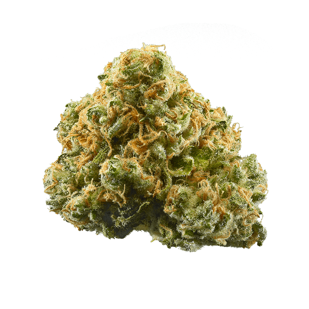 Pineapple Express (PREMIUM)