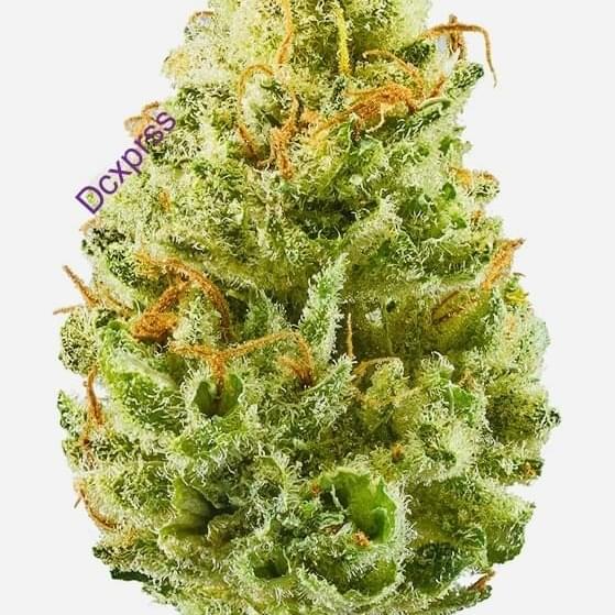 Strawberry Cough (A+)