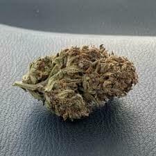 Jack Herer (PREMIUM)