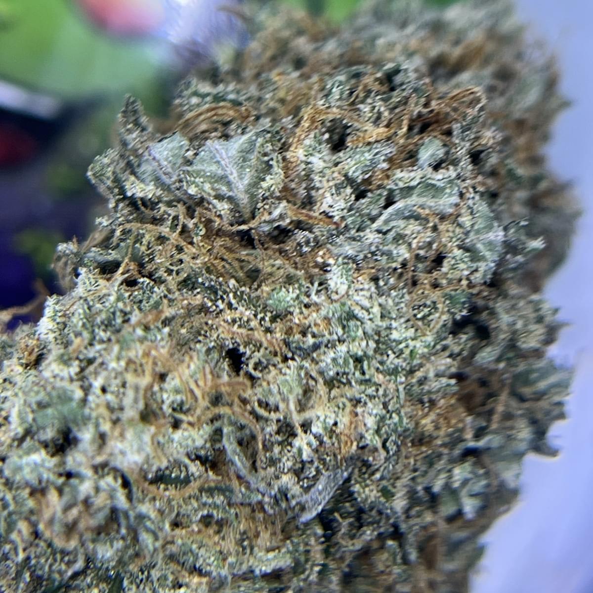 TOPSHELF- PURPLE LIMEAID