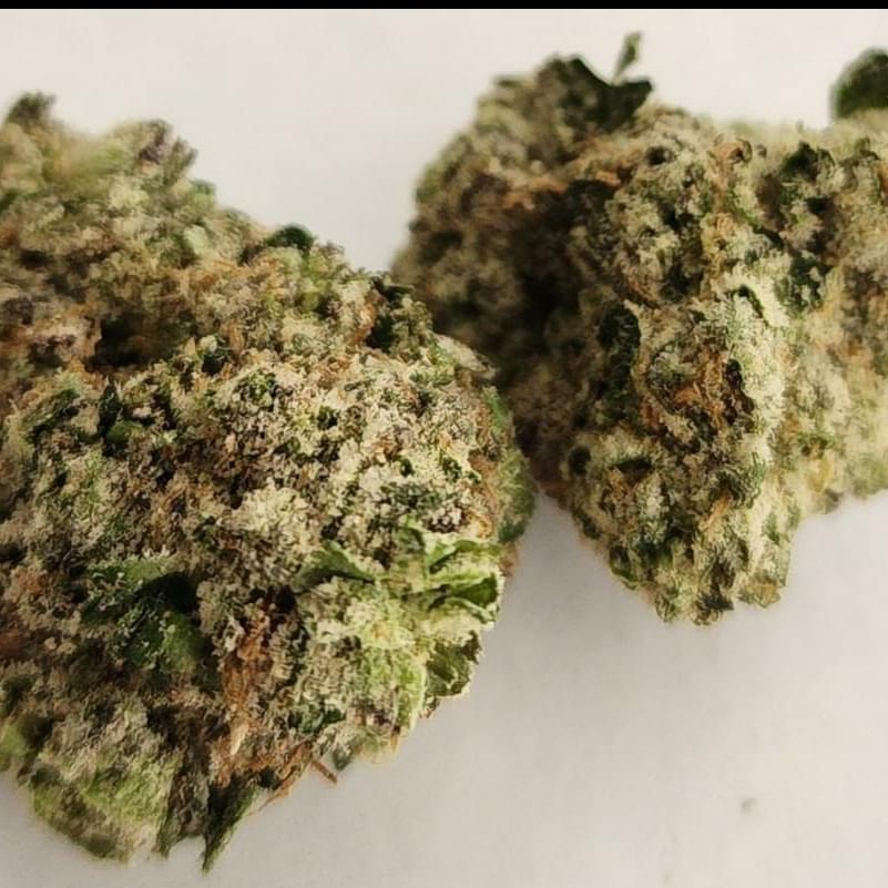 Sherbadelic - Exotic