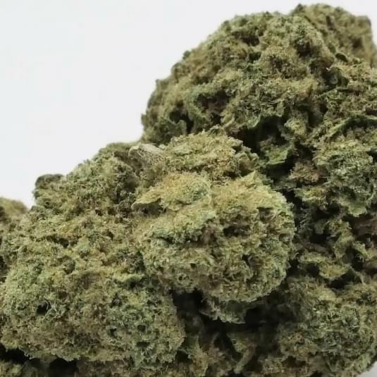 Northern Lights (exotic)