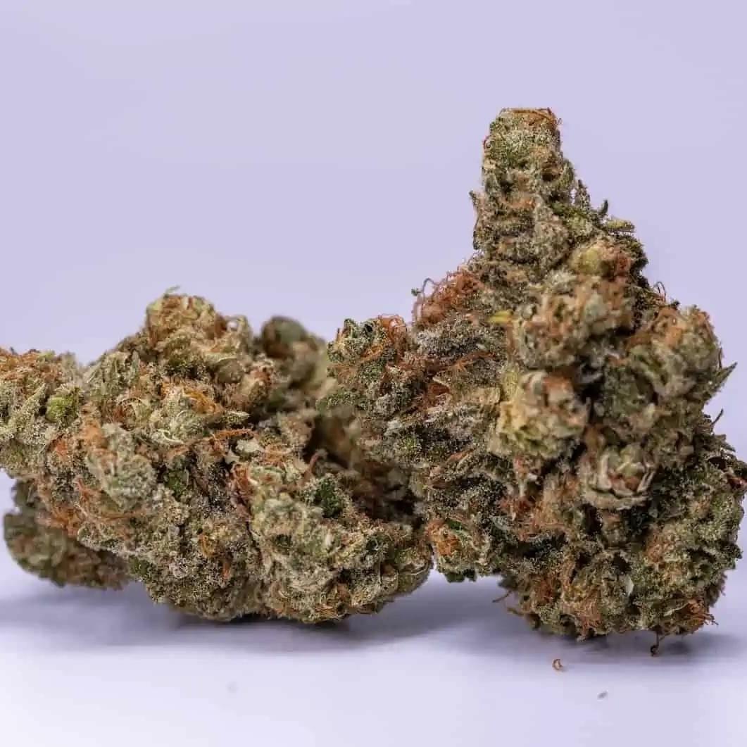 Blue Bayou (Top Shelf)