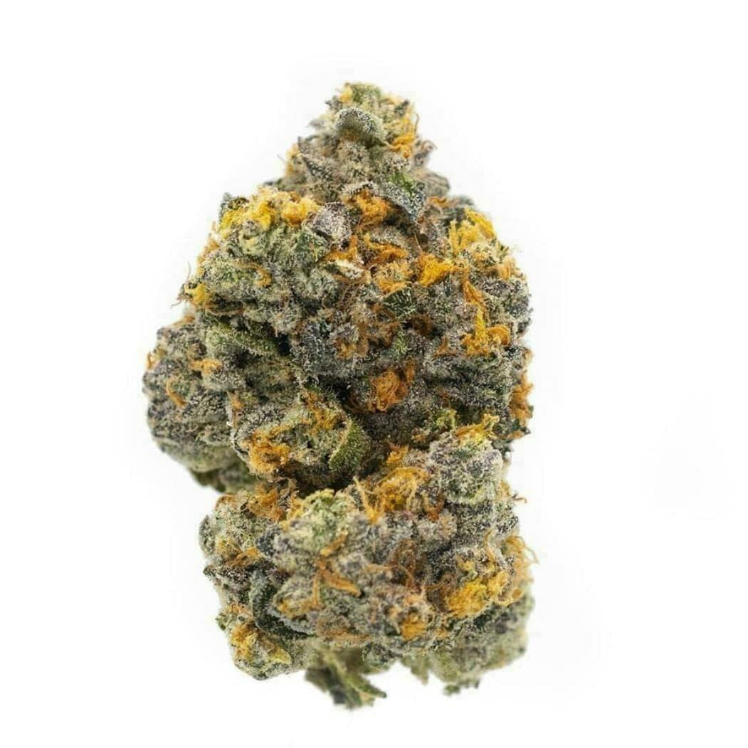 Cheetah Piss (Exotics)