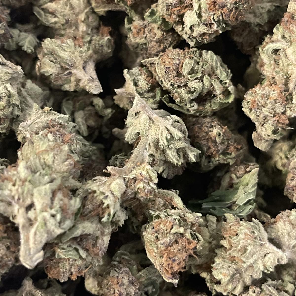 All Exotic Flowers {1 Oz=$120}{1/2 Oz=$80}{7g=$65}{3.5g=$50}