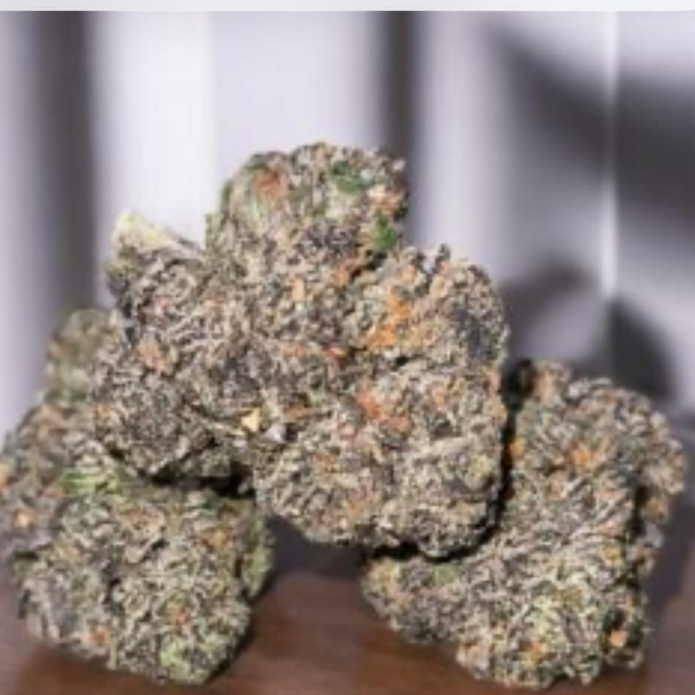 BLACK CHERRY GELATO (EXOTIC)