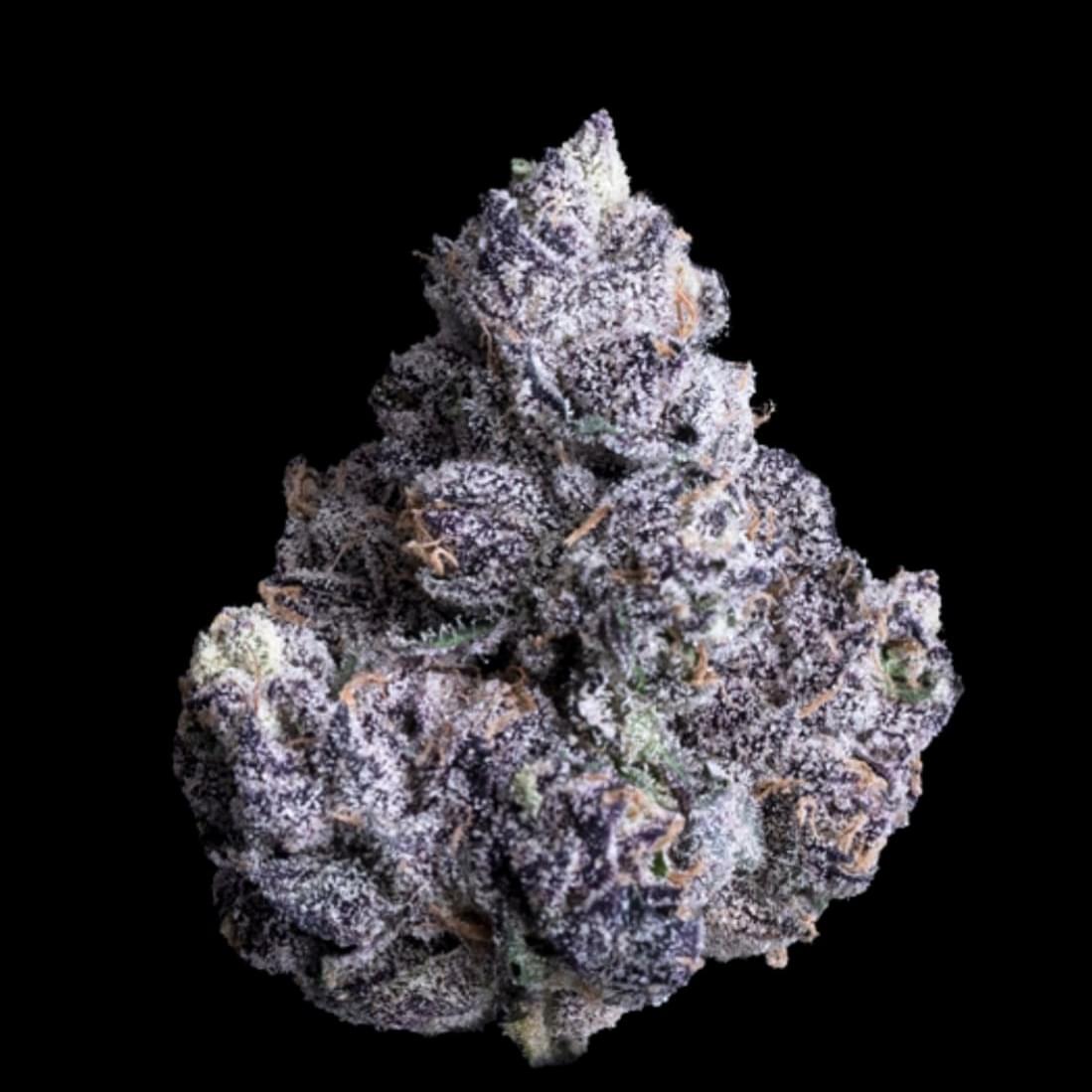 Granddaddy purple