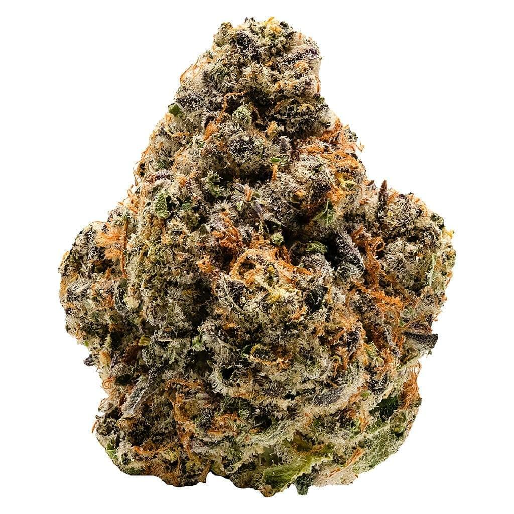 Doc Trinity DESIGNER