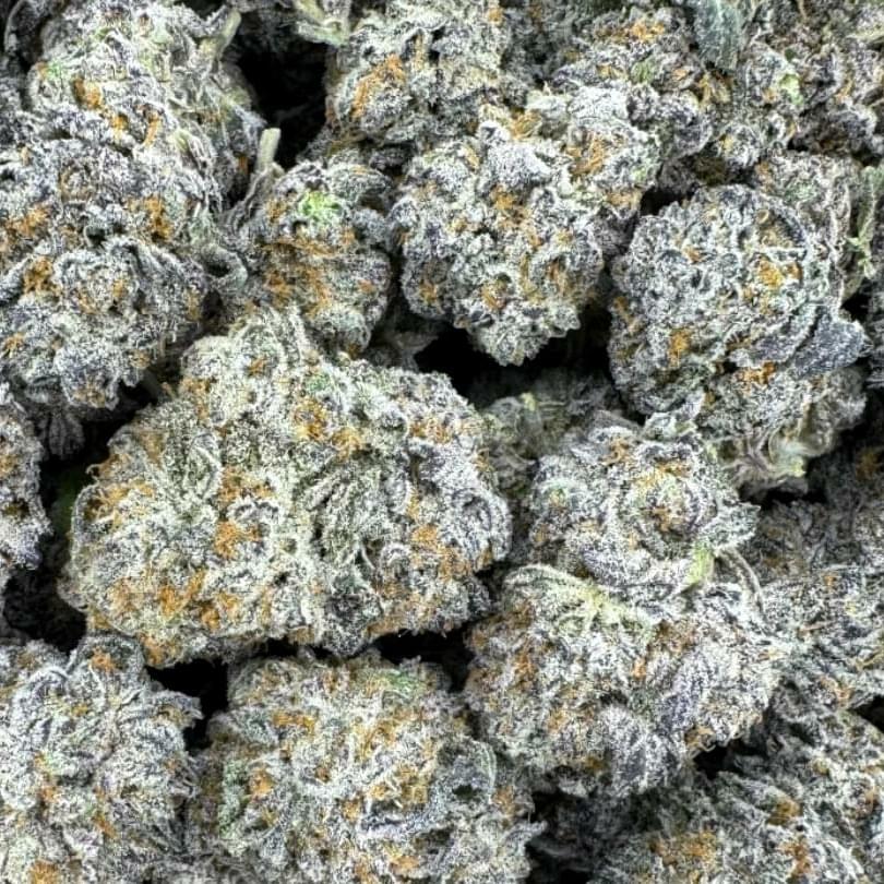 PURPLE SKURP (DESIGNER)