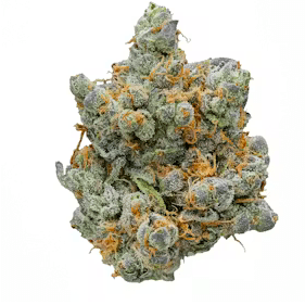 The original Z Exotic