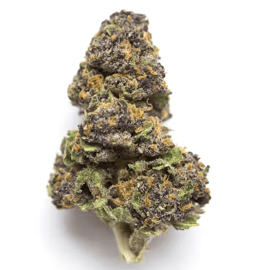 Monster cookie exotic