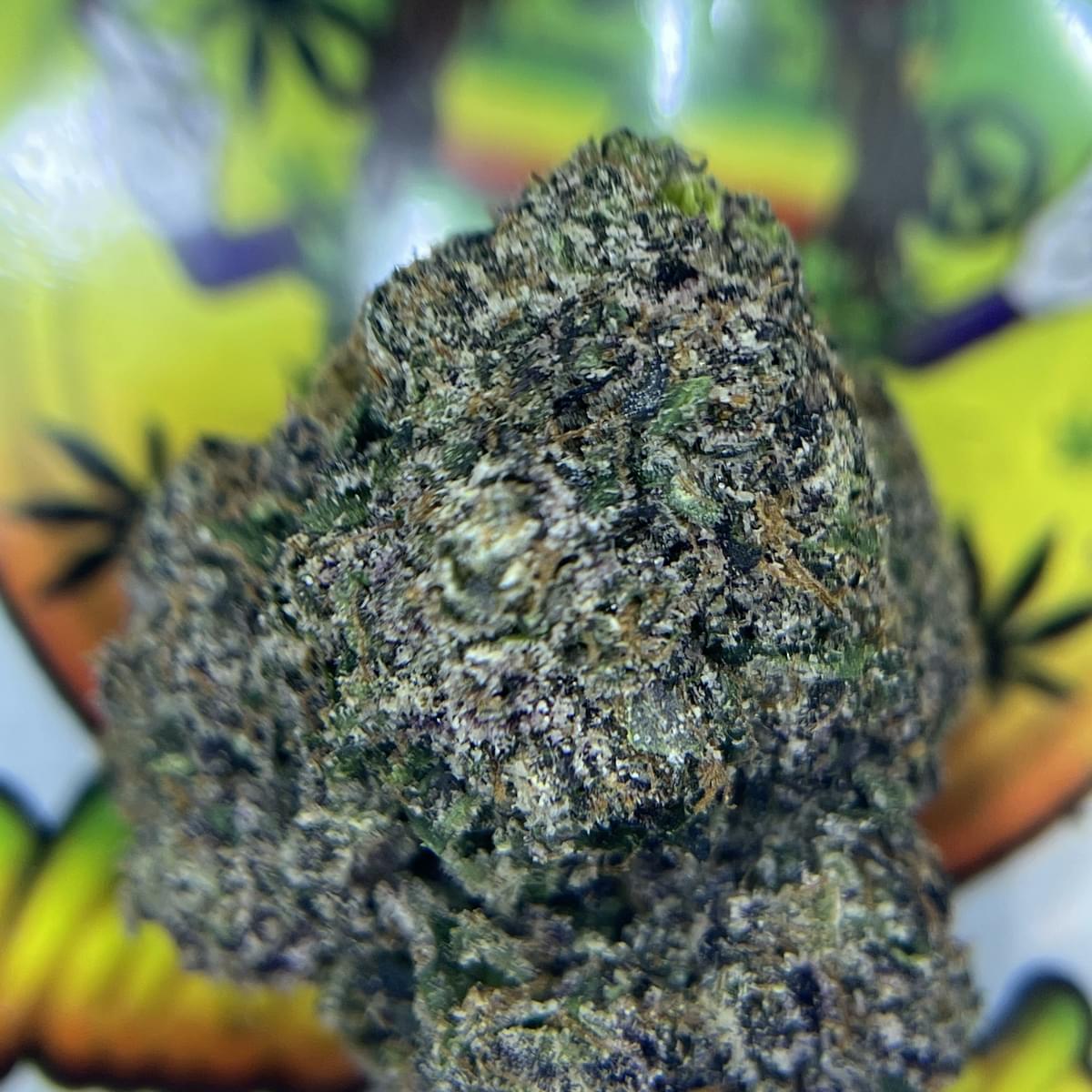 DESIGNER- RAINBOW BLAST