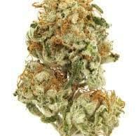 PINEAPPLE EXPRESS (EXOTIC)