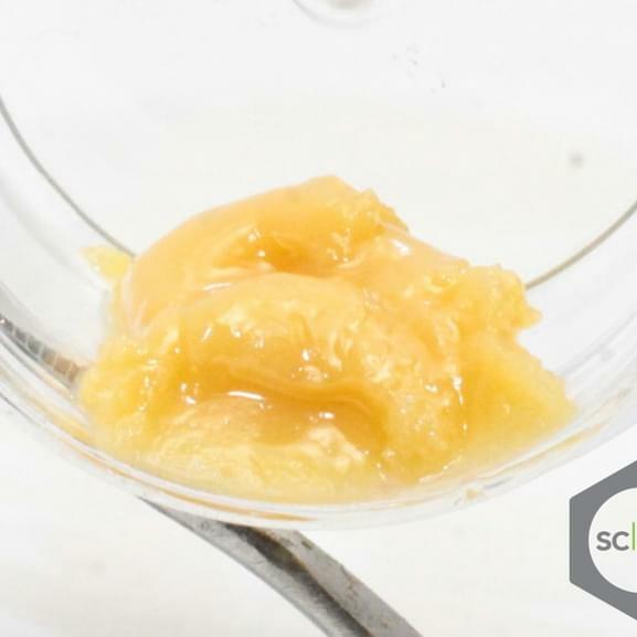 FTEE YELLOW BRICK ROAD BUDDER