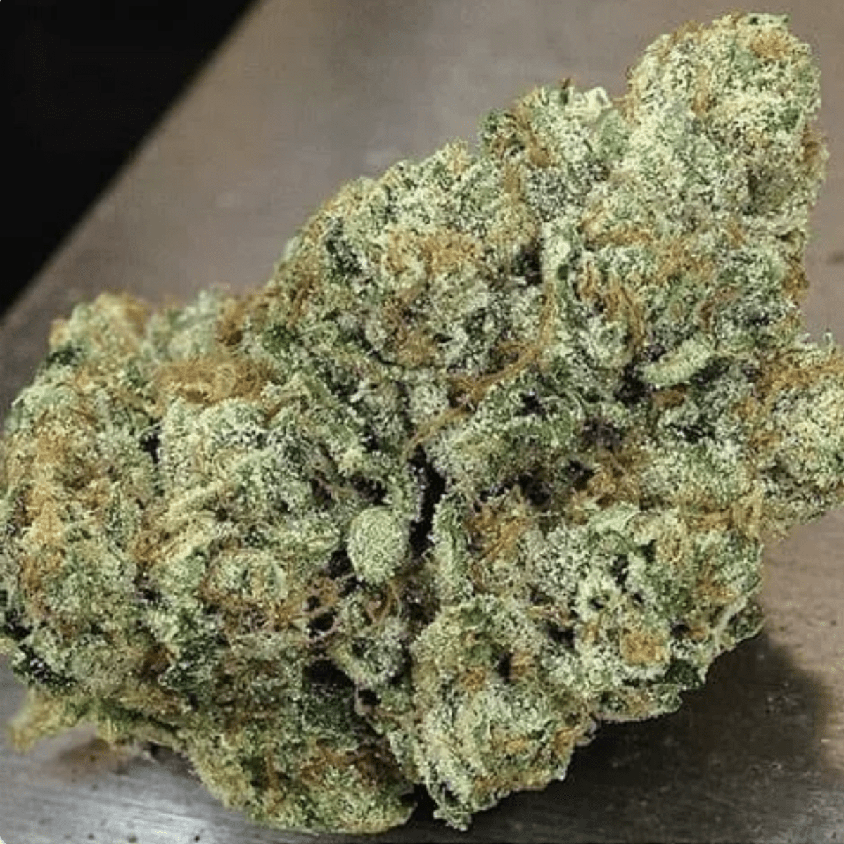 Purple Punch (Premium)